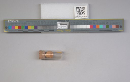 NSF ADBC EPICC TCN