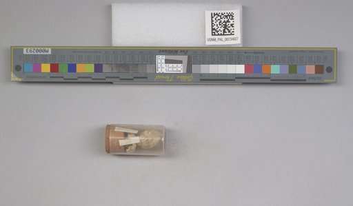NSF ADBC EPICC TCN