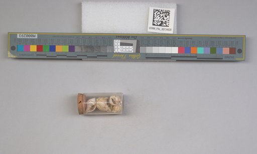 NSF ADBC EPICC TCN