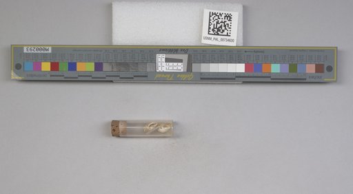 NSF ADBC EPICC TCN