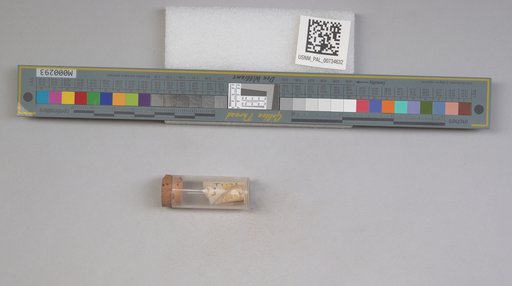 NSF ADBC EPICC TCN