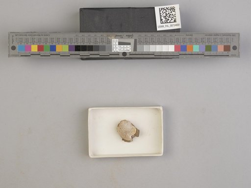 NSF ADBC EPICC TCN