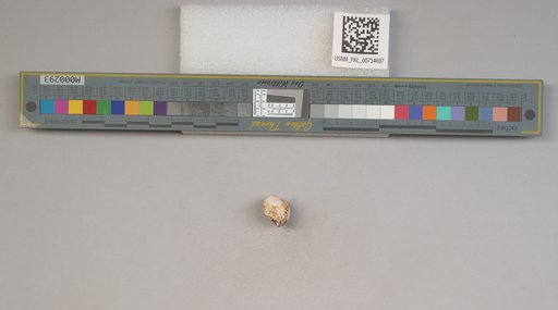 NSF ADBC EPICC TCN