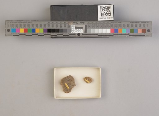 NSF ADBC EPICC TCN