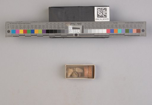 NSF ADBC EPICC TCN