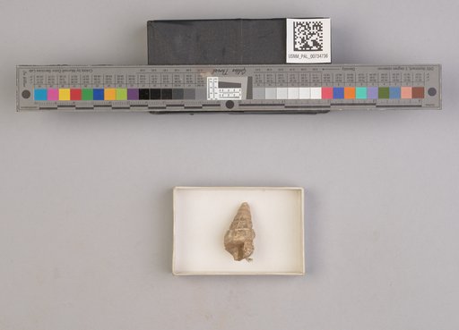 NSF ADBC EPICC TCN