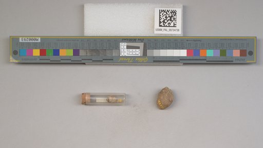 NSF ADBC EPICC TCN