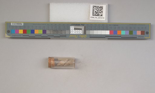 NSF ADBC EPICC TCN