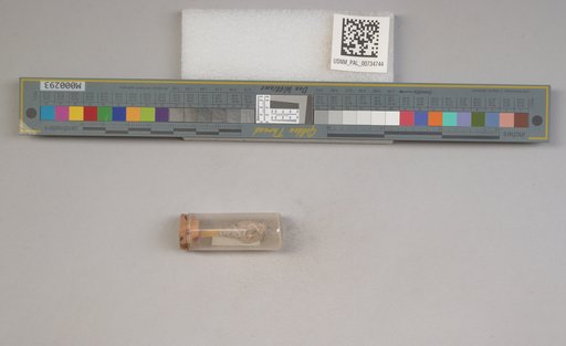 NSF ADBC EPICC TCN