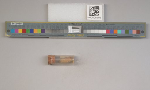 NSF ADBC EPICC TCN