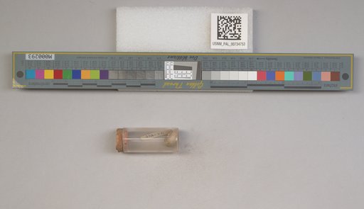 NSF ADBC EPICC TCN