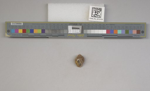 NSF ADBC EPICC TCN