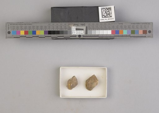 NSF ADBC EPICC TCN