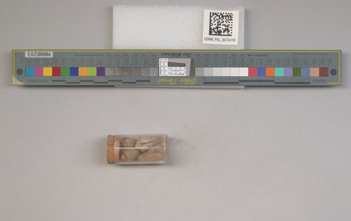 NSF ADBC EPICC TCN