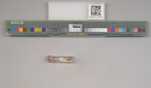 NSF ADBC EPICC TCN
