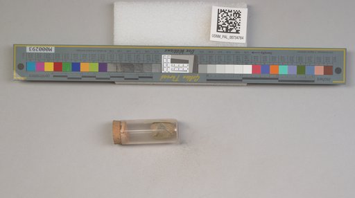 NSF ADBC EPICC TCN
