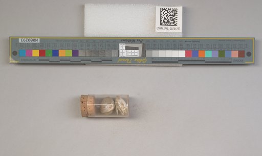 NSF ADBC EPICC TCN