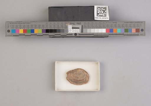 NSF ADBC EPICC TCN