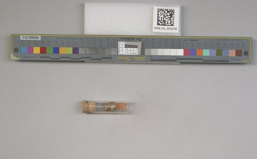 NSF ADBC EPICC TCN