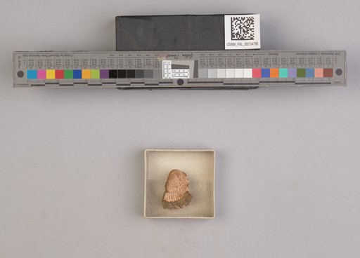 NSF ADBC EPICC TCN