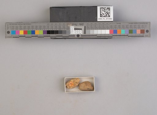NSF ADBC EPICC TCN