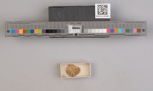 NSF ADBC EPICC TCN