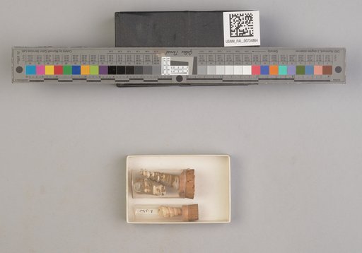 NSF ADBC EPICC TCN