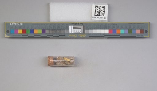 NSF ADBC EPICC TCN