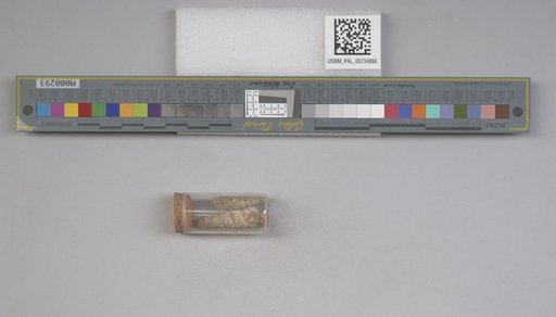 NSF ADBC EPICC TCN