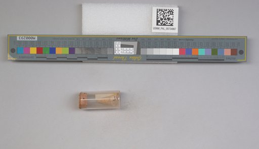 NSF ADBC EPICC TCN