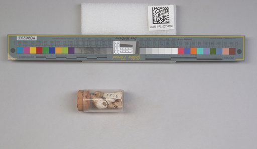 NSF ADBC EPICC TCN