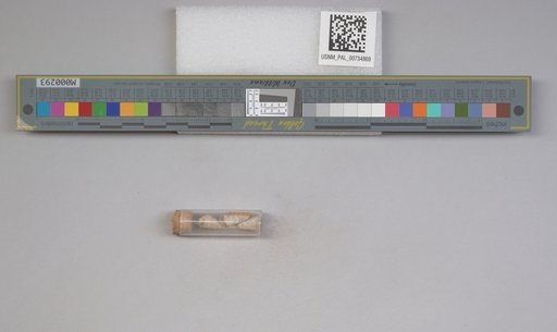 NSF ADBC EPICC TCN