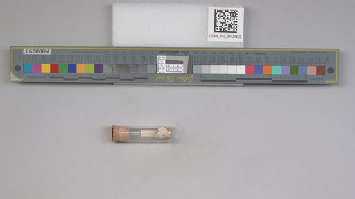 NSF ADBC EPICC TCN