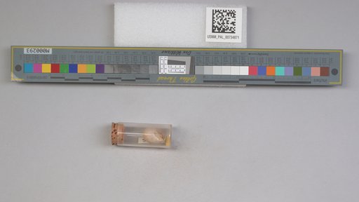 NSF ADBC EPICC TCN