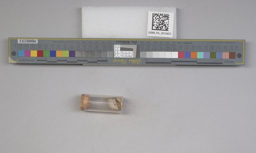 NSF ADBC EPICC TCN