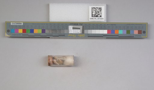NSF ADBC EPICC TCN