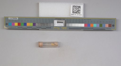 NSF ADBC EPICC TCN