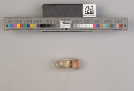 NSF ADBC EPICC TCN