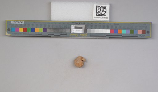 NSF ADBC EPICC TCN