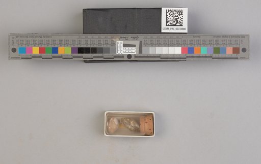NSF ADBC EPICC TCN