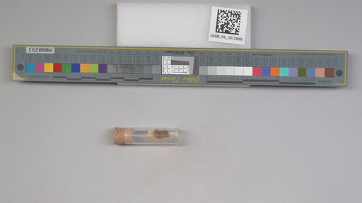 NSF ADBC EPICC TCN