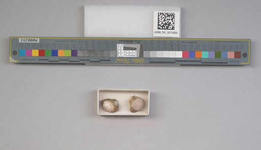 NSF ADBC EPICC TCN