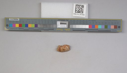 NSF ADBC EPICC TCN