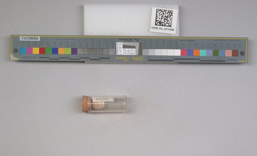 NSF ADBC EPICC TCN
