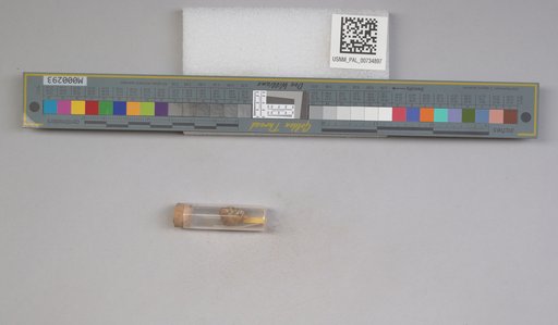 NSF ADBC EPICC TCN