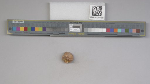 NSF ADBC EPICC TCN