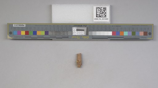 NSF ADBC EPICC TCN