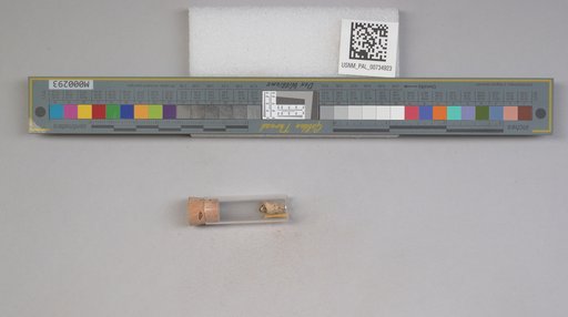 NSF ADBC EPICC TCN