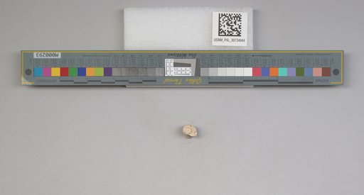 NSF ADBC EPICC TCN