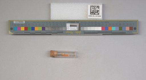 NSF ADBC EPICC TCN